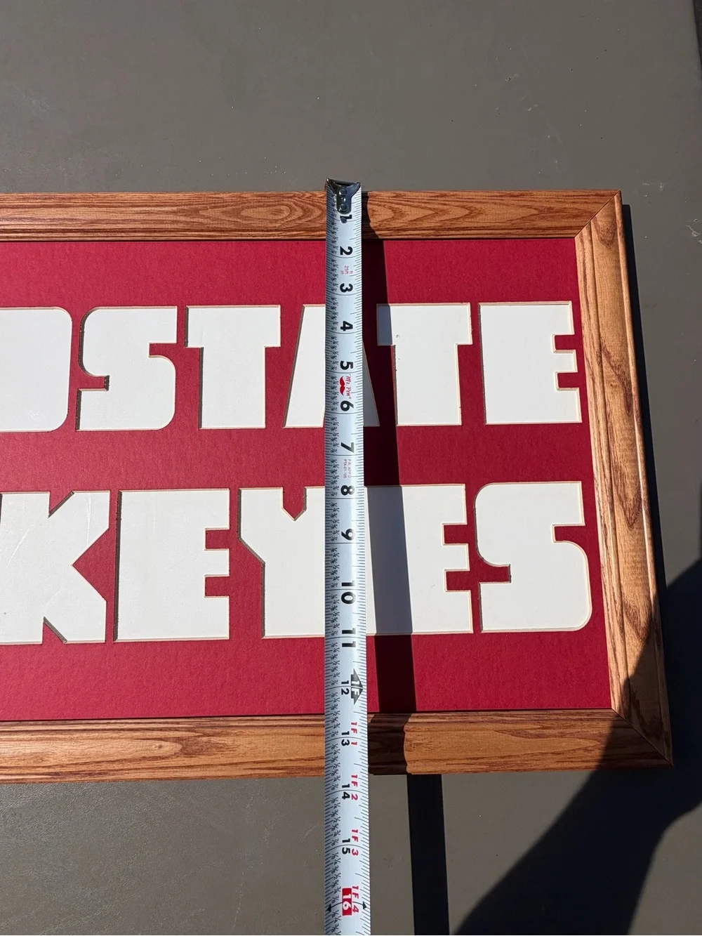 OHIO STATE BUCKEYES picture photo mat wood frame NO glass‎ 14x26